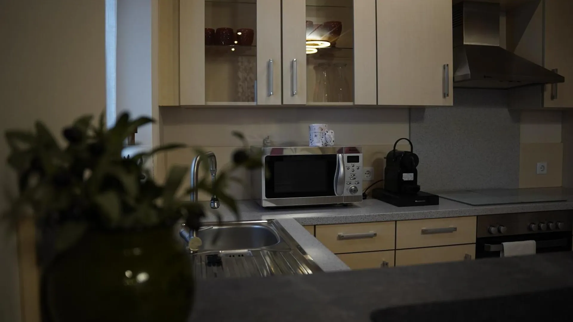 Apartment Ferienwohnung Zum Lausbub Eckersdorf