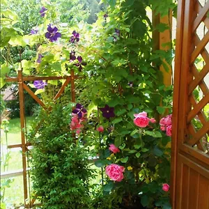 Mit Gartenblick Eckersdorf